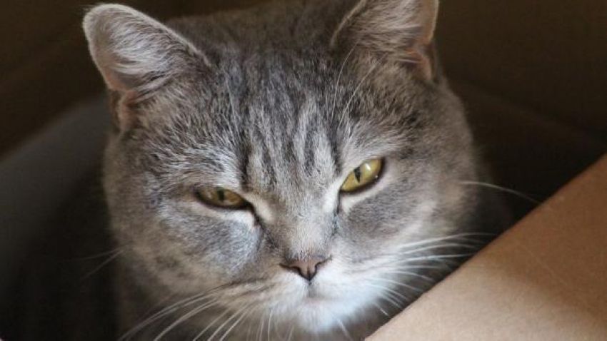 Теплее всего 17 декабря будет на юге Черноморского побережья