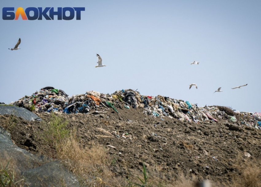 Мусорный полигон на Кубани закрыли на 2 месяца из-за нарушений