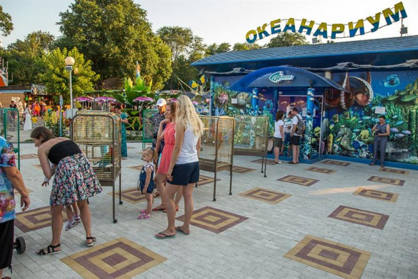 Акула погибла по вине посетителя океанариума в Анапе 