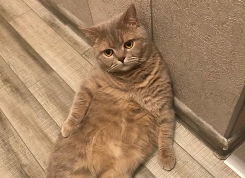 На Кубань придет потепление 