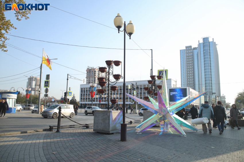 Теплый ноябрь продолжает удивлять жителей Краснодара