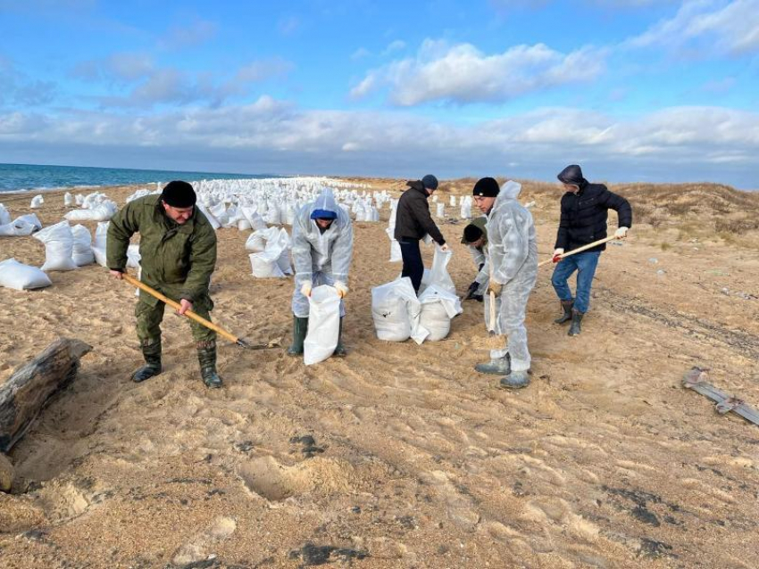 Свыше 70 тысяч тонн загрязненного грунта собрано на Черноморском побережье 