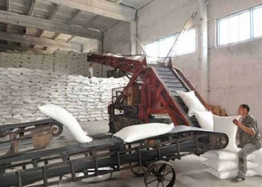 В Краснодарском крае произвели 300 тысяч тонн сахара