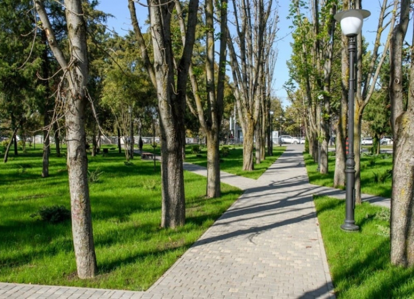 Названы три зеленые зоны Краснодара, победившие в городском голосовании на благоустройство