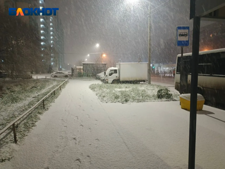 На Кубани бушует непогода: встретит ли Краснодар Новый год под снегопадом