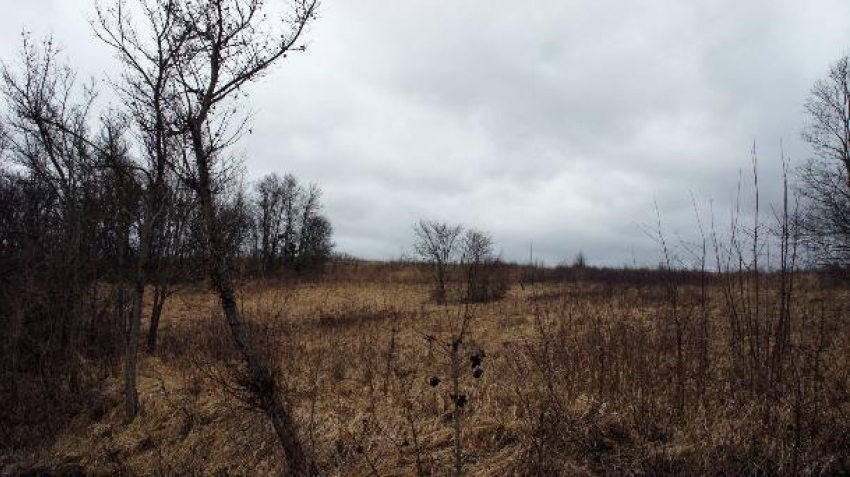 Замерзший труп женщины нашли на Кубани