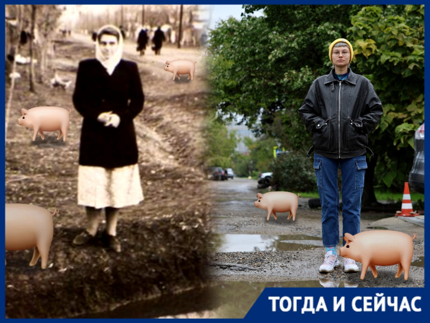 Свинячий хутор: от скотобойни на окраине Краснодара до центра миллионника