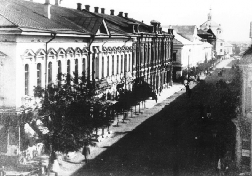 Кубанский календарь: Краснодар решили превратить в самый зеленый город страны 