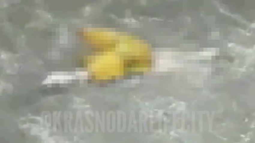Труп мужчины прибило к пляжу в Сочи