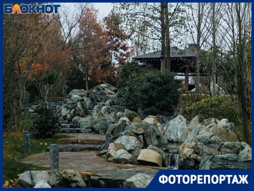 Японский сад в парке Галицкого встретил свою третью зиму без снега  