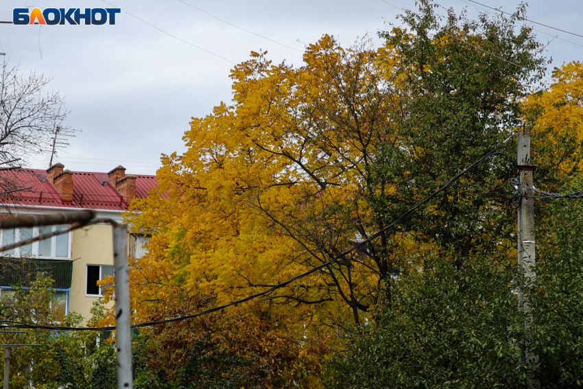 В Прикубанском округе Краснодара обесточат несколько улиц 