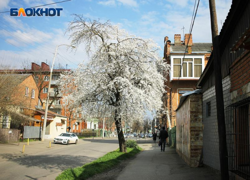 Расширяемся: в Краснодаре появится новый внутригородской округ