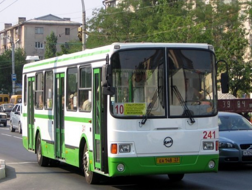 Проезд в общественном транспорте Новороссийска сделают бесплатным 