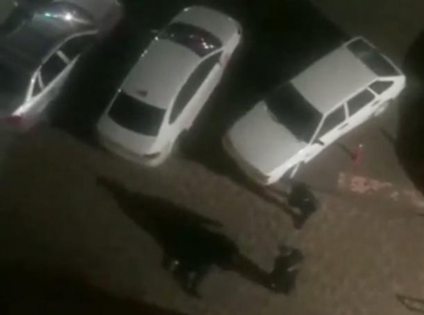 Во дворе жилой многоэтажки в Краснодаре охранники избили человека