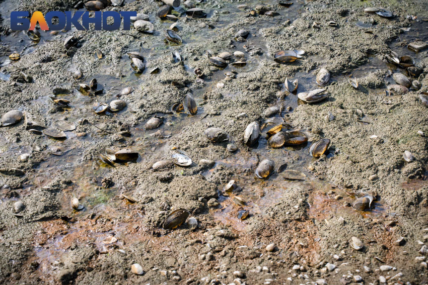 Власти ограничили потребление воды для спасения Краснодарского водохранилища 