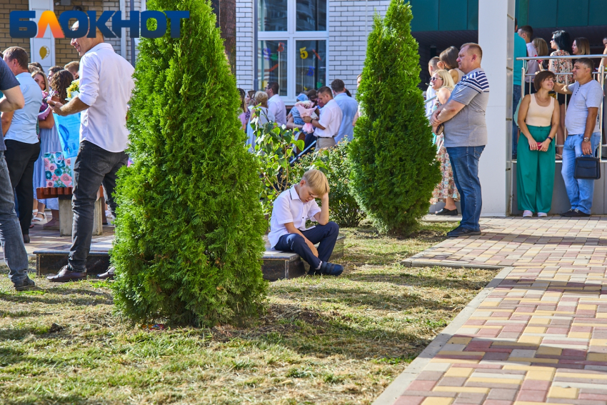 В Краснодаре бесплатно накормят детей мобилизованных