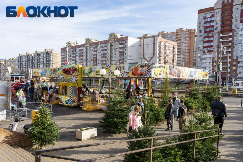 До +8 градусов прогреется воздух в Краснодаре 