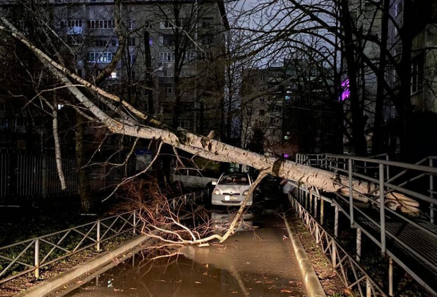 Ветер в Краснодарском крае сорвал крыши, сломал деревья и оставил людей без света