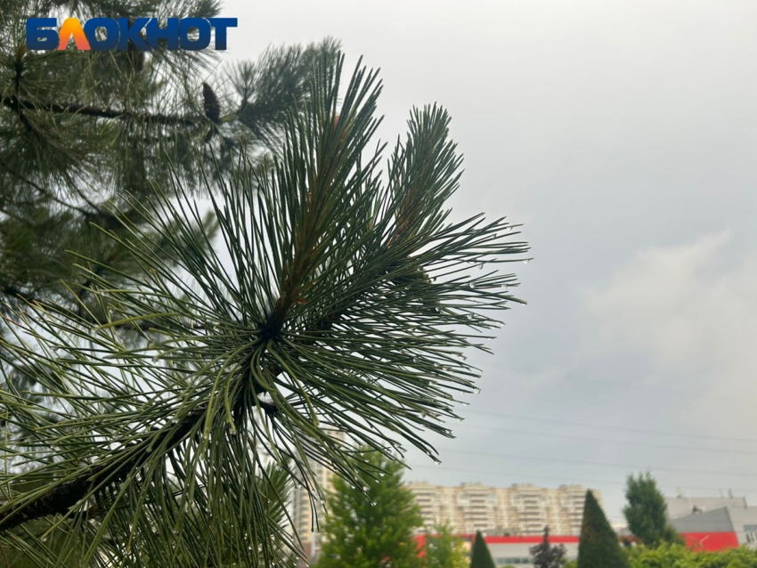 Сильный дождь и гроза накроют Краснодар в конце рабочей недели