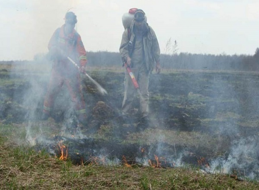 На Кубани объявлен максимальный 5-й класс пожароопасности 