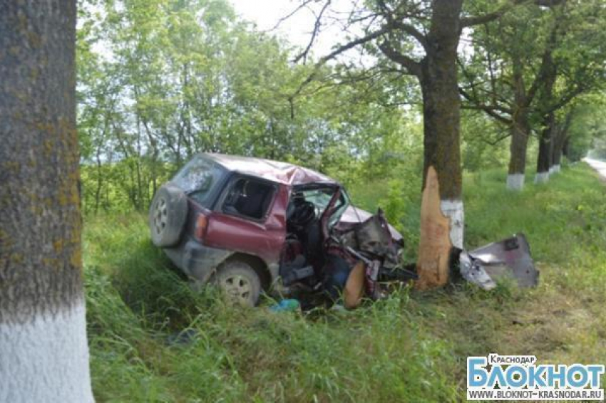 В Крымском районе в ДТП погиб водитель иномарки