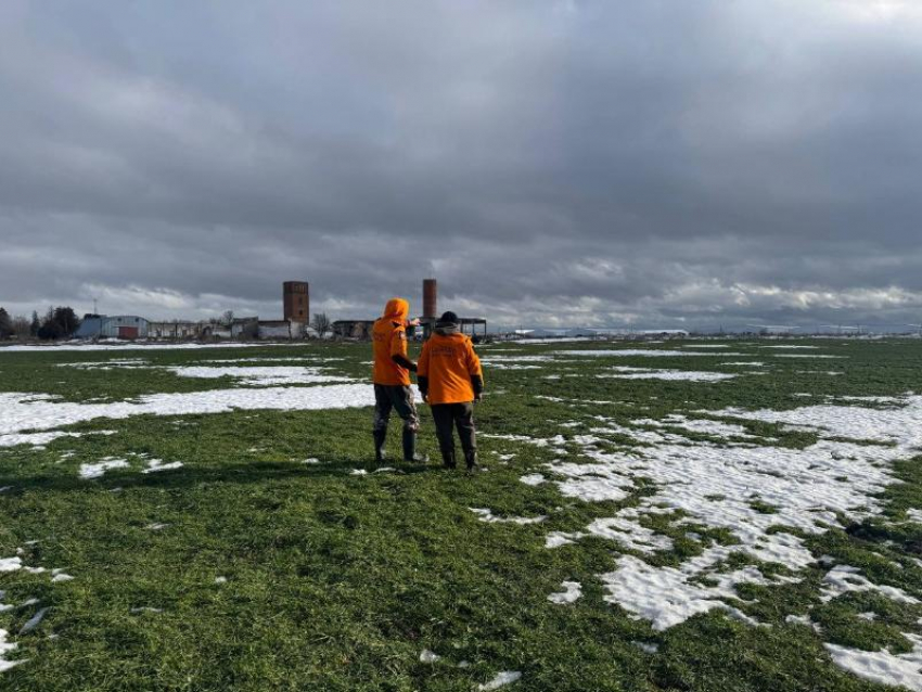 Пройдено свыше 800 км: сотни поисковиков сутками ищут пропавшего на Кубани подростка  