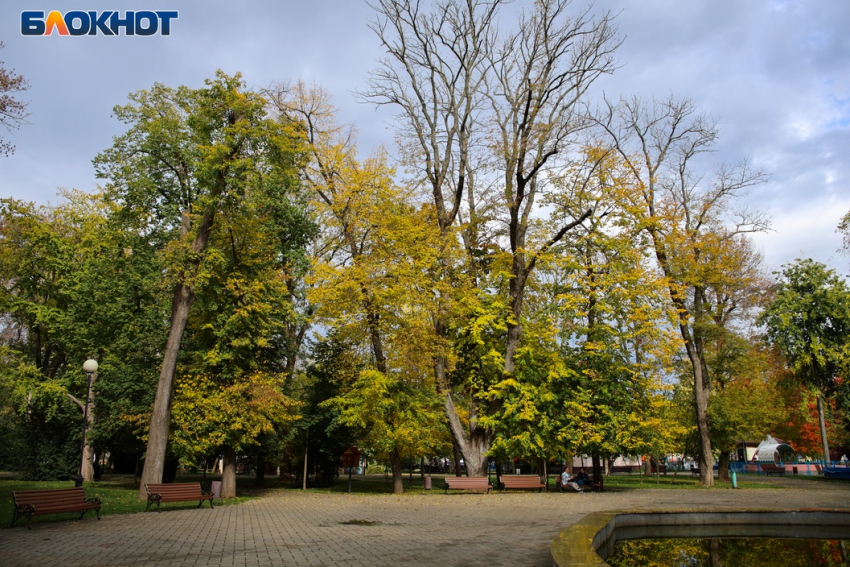 Температура в Краснодаре опустится до +10 градусов