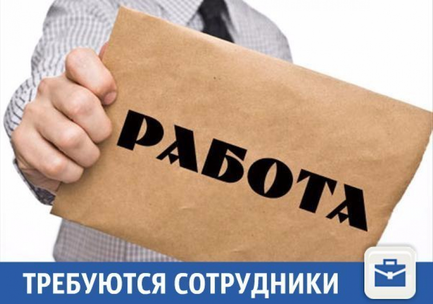 Перспективную работу предлагают в Краснодаре
