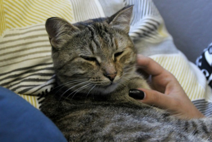  Гололед и небольшие осадки прогнозируют на Кубани 