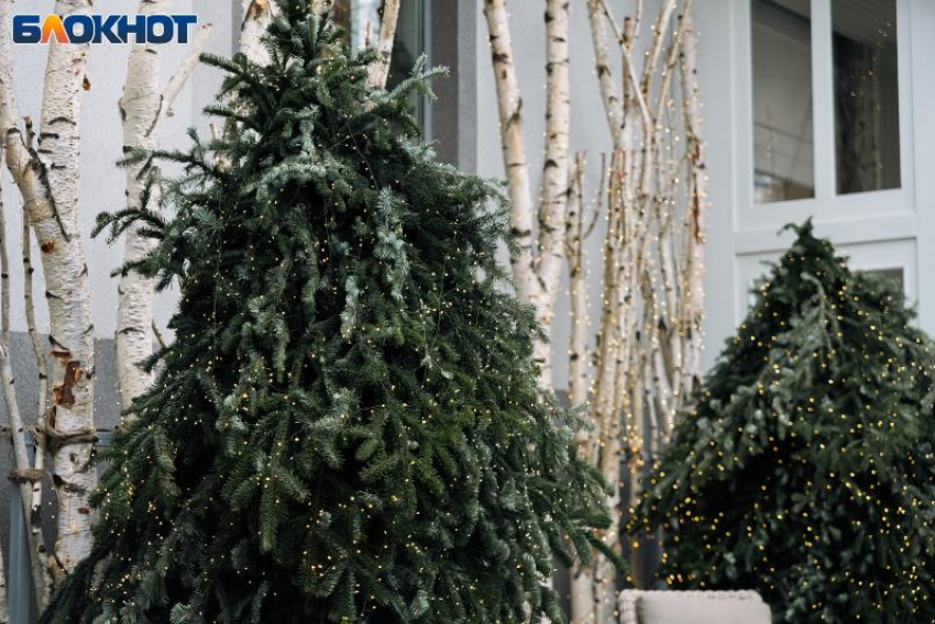 По ощущениям до -10 и снег: погода удивляет Краснодар за пять дней до Нового года 