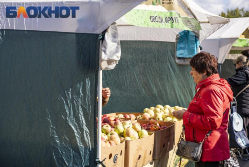 В Краснодаре не откроют 1 ноября ярмарки выходного дня 