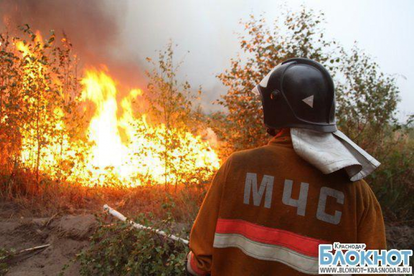 Кубанские пожарные борются с огнем в лесах Адлерского района