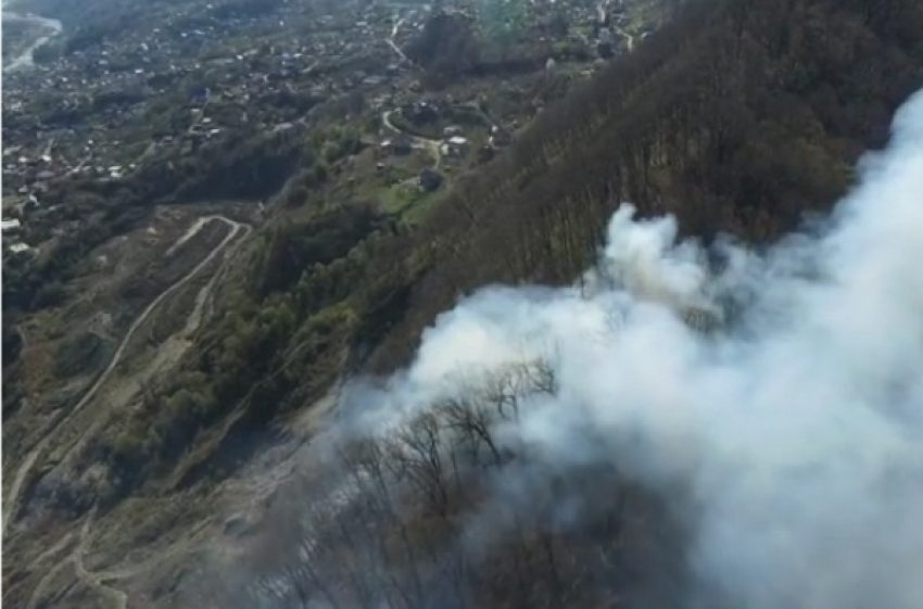 В Сочи за сутки несколько раз горел лес 