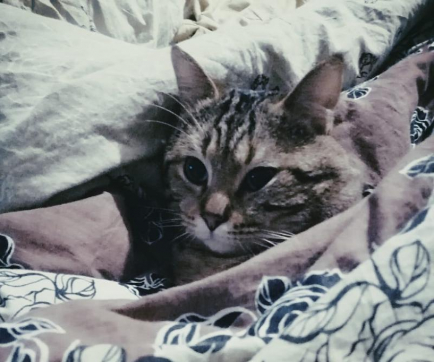 На Кубань пришла настоящая осень