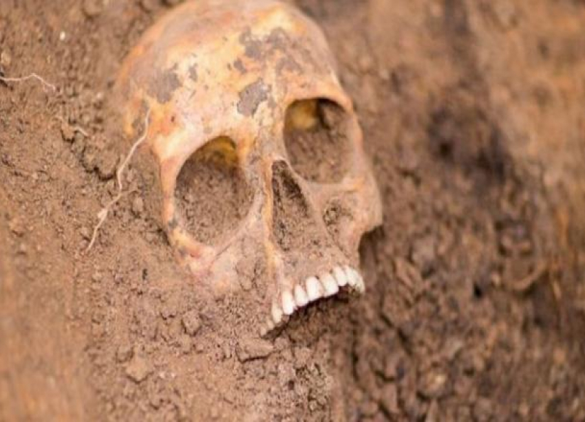 Человеческие останки нашли на одной из строек Краснодара