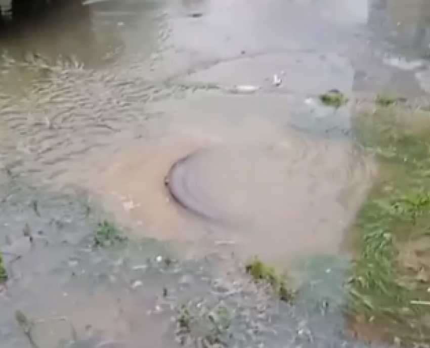 В Краснодаре вода из канализации затопила дворовые территории: видео