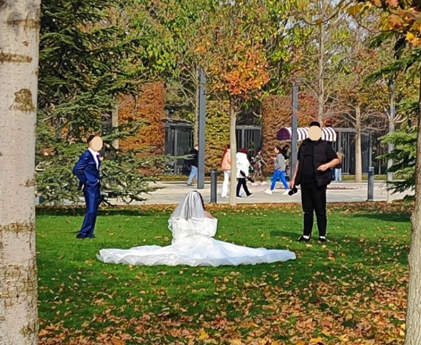 Молодожёны нарушают запрет и топчут газон в парке Галицкого