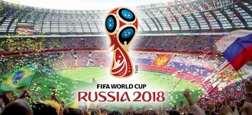 В ноябре начнется выдача идентификационных карт болельщиков Чемпионата мира - 2018