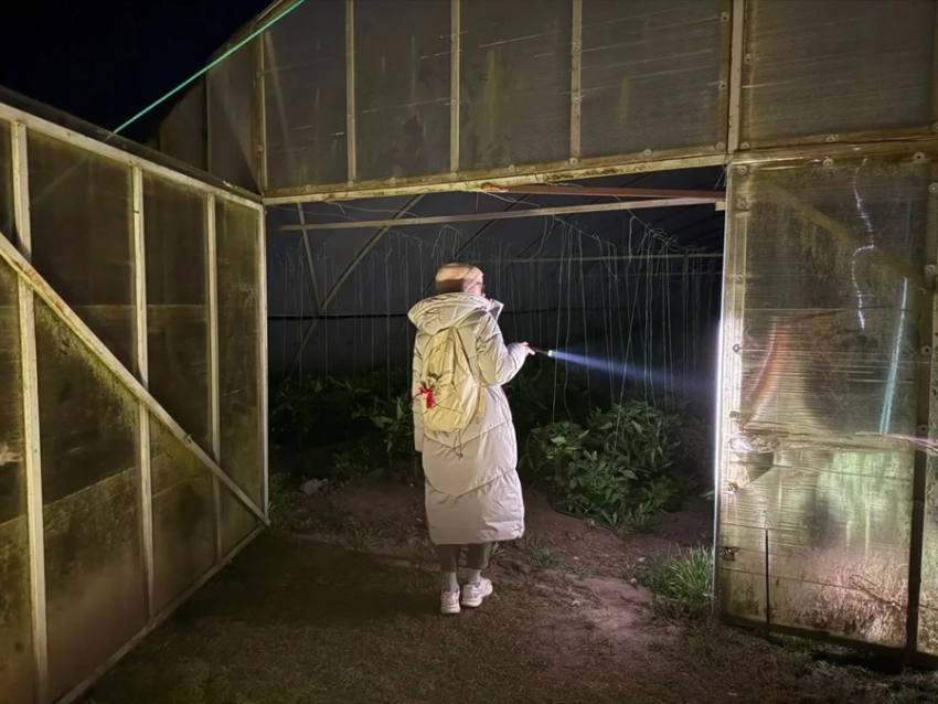 На Кубани третий день ищут пропавшую 11-летнюю школьницу