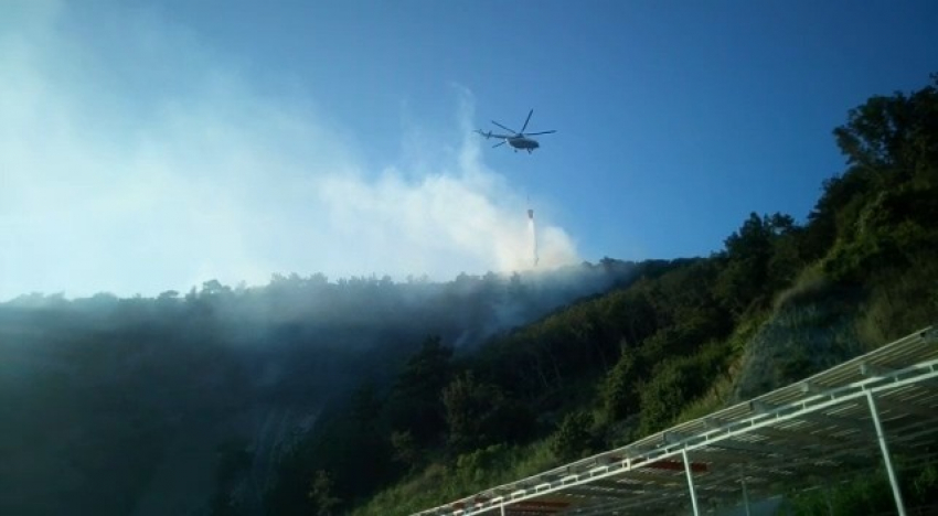 В два раза уменьшилось число лесных пожаров на Кубани 