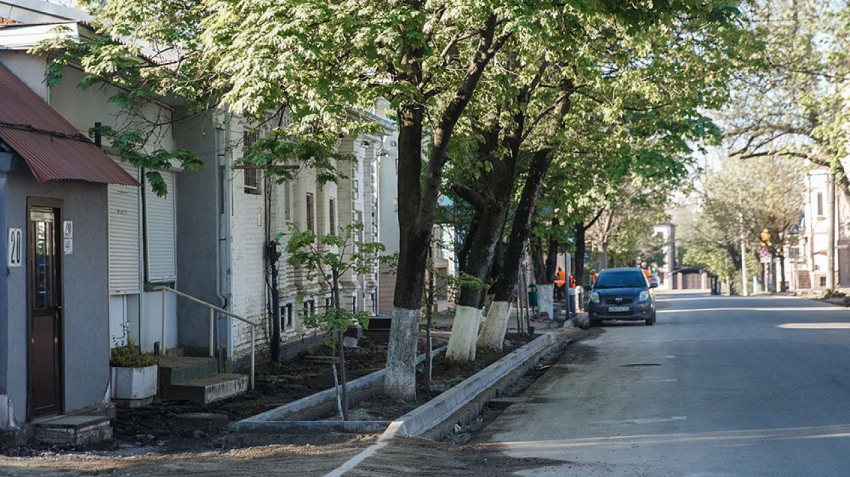 Мэрия взялась за вырубку деревьев, представляющих угрозу для краснодарцев