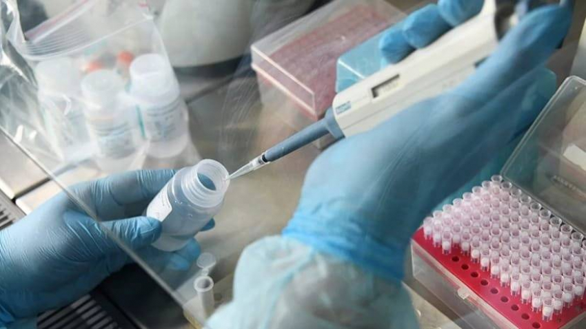 В Краснодарском крае за сутки коронавирусом заразились 95 человек