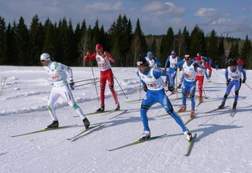  Россияне завоевали два золота в спортивном ориентировании в Сочи 