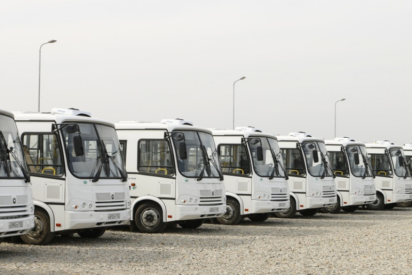После скандала в СМИ власти Краснодара увеличили количество школьных автобусов