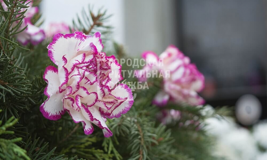 Первые действия при организации похорон в Москве: оформление медицинской справки