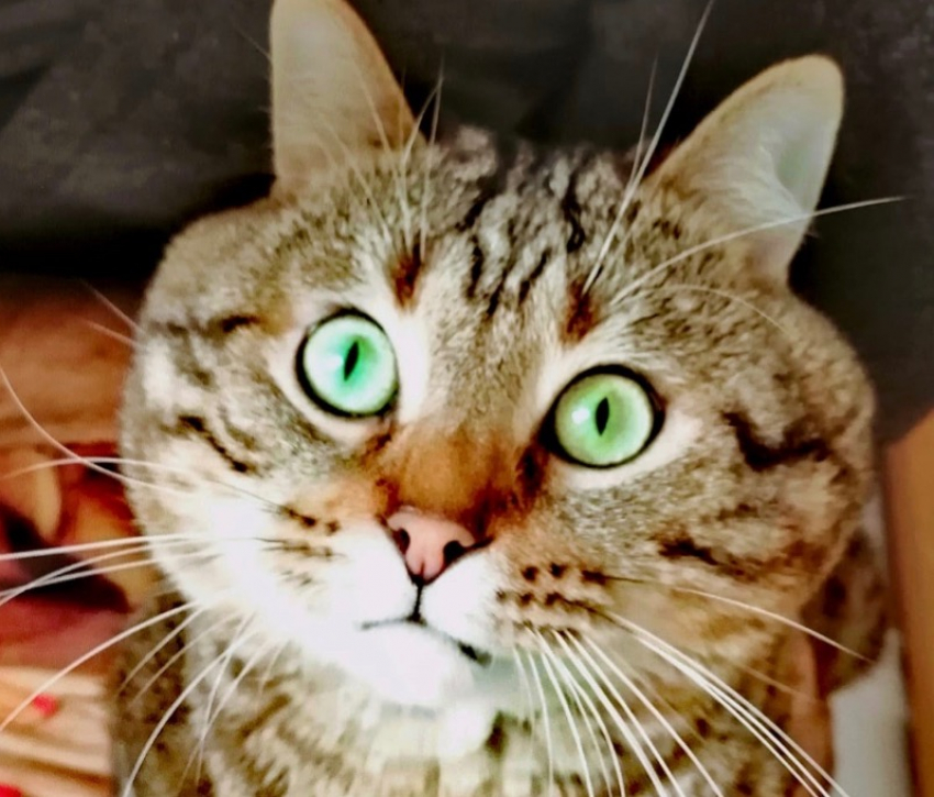 До +16 градусов потеплеет на Кубани 