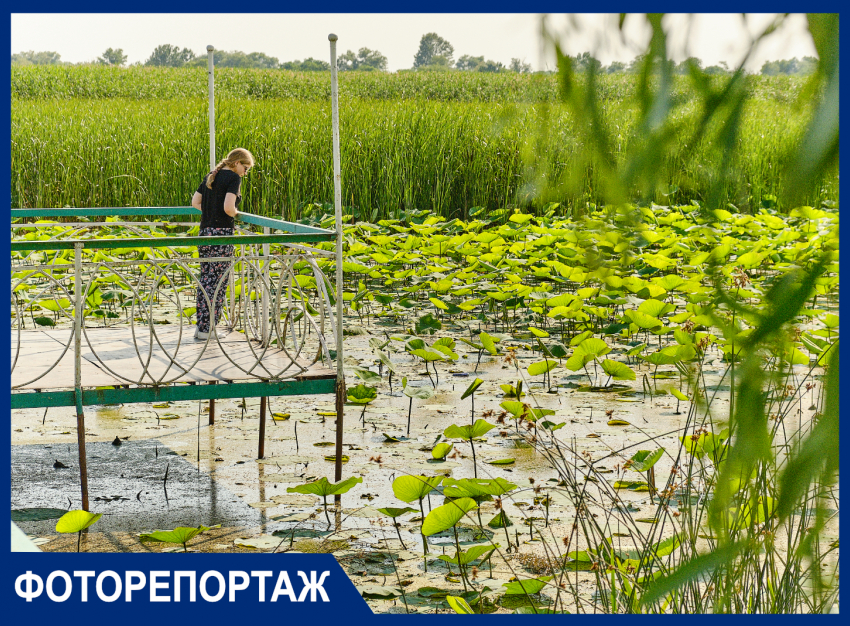 В Краснодаре показали самые яркие кадры июня: уникальные фото и видео