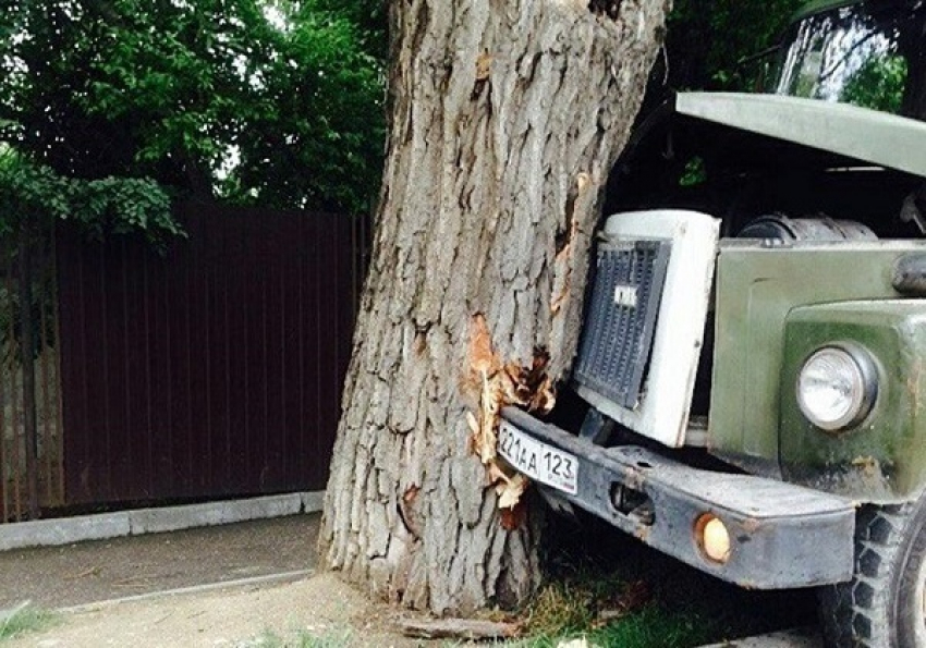 В Новороссийске грузовик на большой скорости влетел в дерево
