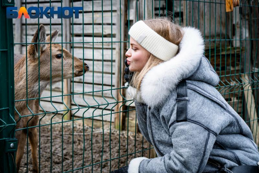 Фото Парк девушка, более 99 качественных бесплатных стоковых фото