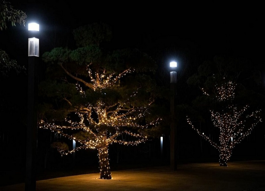 Праздник к нам приходит: в парке «Краснодар» включили новогоднюю иллюминацию и впервые поставили елку